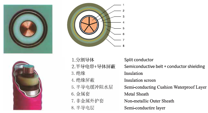 点击查看